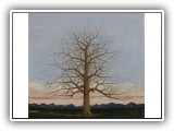 Winter Tree 16 - 54x48