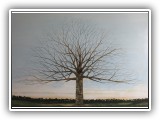 Winter Tree 13 - 72x48